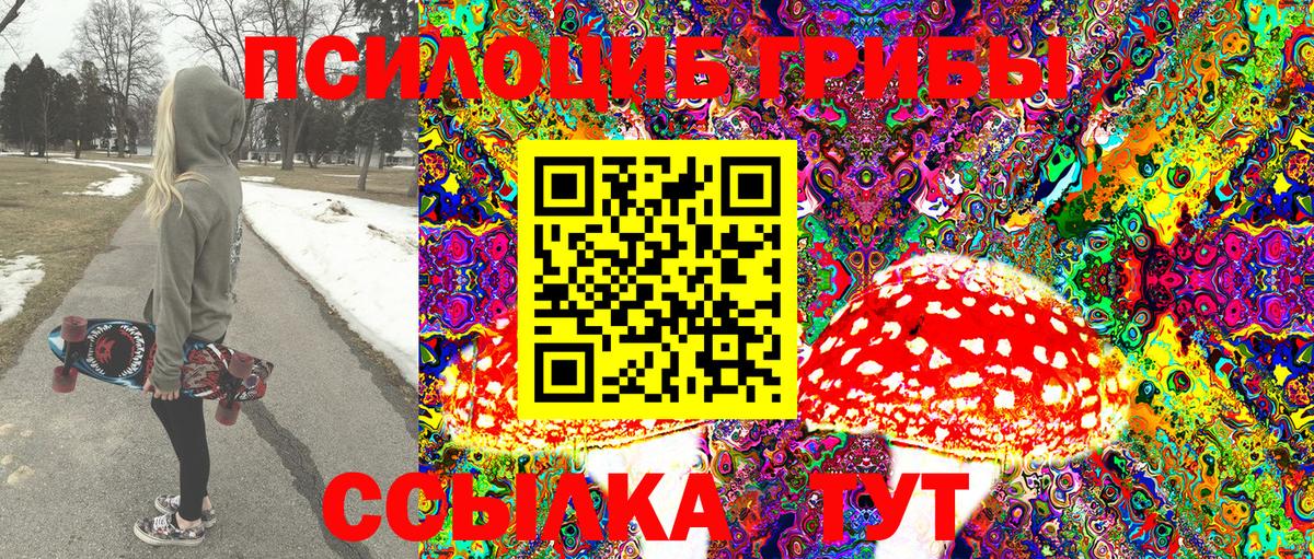 Псилоцибиновые грибы Psilocybine cubensis Верхний Уфалей