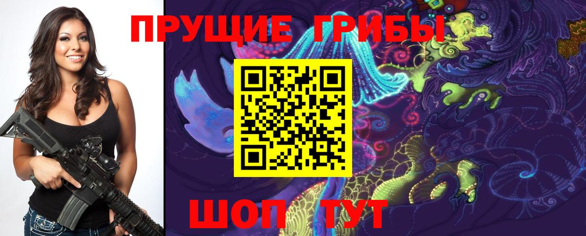 купить наркотик  Псилоцибиновые грибы MAGIC MUSHROOMS  Верхний Уфалей  Вход с VPN  Галлюциногенные грибы Psilocybe 